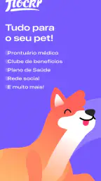 Flockr - Pets com mais saúde 1