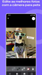 Flockr - Pets com mais saúde 8