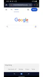 FordBrowser 2
