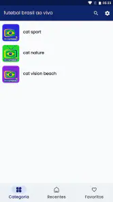 Futebol Brasil ao vivo screenshot