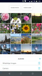 Gallery Slideshow 5