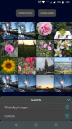 Gallery Slideshow 6