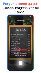 Google 3