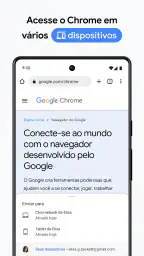 Google Chrome 5