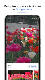 Google Fotos 5