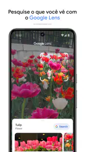 Google Fotos screenshot
