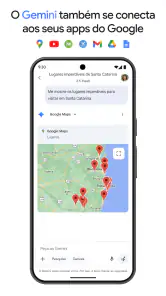 Google Gemini screenshot