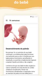 Gravidez 2