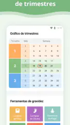 Gravidez 7
