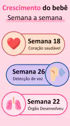 Gravidez + App Semana a Semana 4