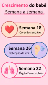 Gravidez App Semana a Semana screenshot