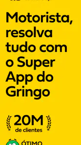 Gringo: Licenciamento, IPVA + screenshot