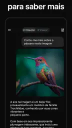 Grok - Assistente de IA 4