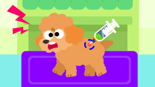 Hospital Animal Cocobi 4