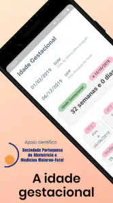 Idade Gestacional screenshot