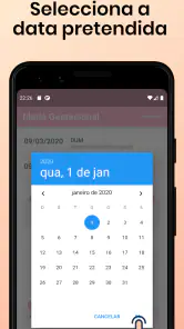 Idade Gestacional screenshot