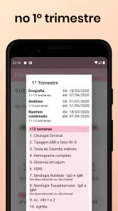 Idade Gestacional screenshot