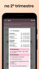 Idade Gestacional screenshot