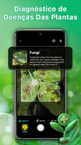 Identificador de plantas screenshot
