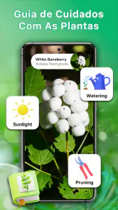 Identificador de plantas screenshot