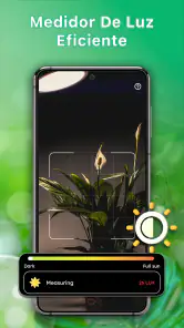 Identificador de plantas screenshot