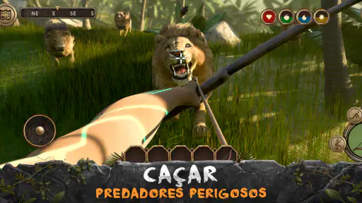 Ilha da Sobrevivência: Evolua 7