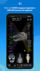 IMAIOS vet-Anatomy screenshot