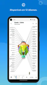 IMAIOS vet-Anatomy screenshot