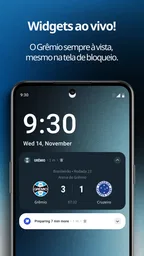 Meu Grêmio 3