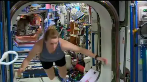 ISS Live Now: Terra ao vivo 6