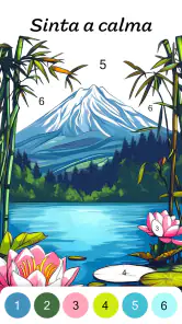 Jogo de Pintar com Numeros screenshot