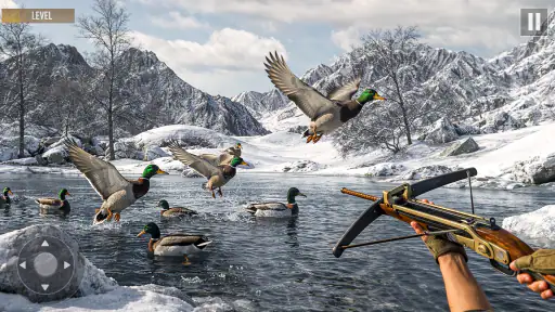 jogo de tiro ao pato 8