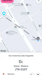 Lady Driver 3