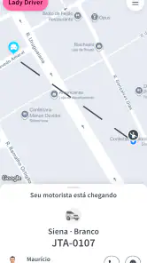 Lady Driver screenshot