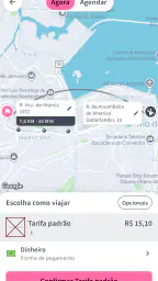 Lady Driver 4