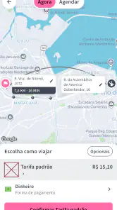 Lady Driver screenshot