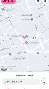 Lady Driver screenshot