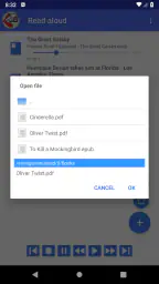 Leia para mim - leitor em voz 3