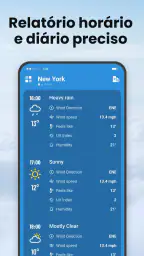 Local Weather:Previsão ao vivo 3
