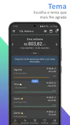 Mantis - Finanças do motorista 2