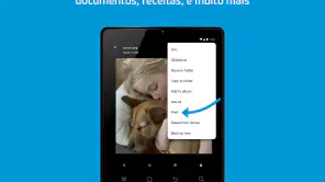 manutenção da impressora screenshot