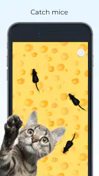 Meow Jogos para Gatos Filhotes 1