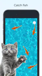 Meow Jogos para Gatos Filhotes 3