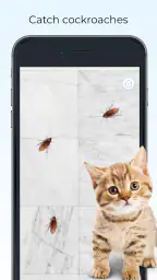 Meow Jogos para Gatos Filhotes 8