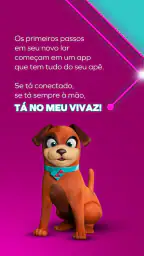 Meu Vivaz 5