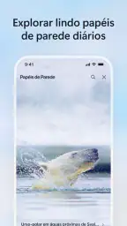 Microsoft Bing Pesquisa 8