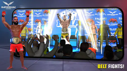 MMA Fighting Clash 4