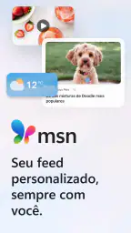 MSN 1