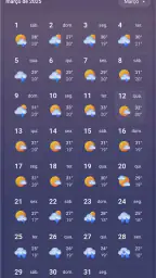 MSN Clima - Previsão e Mapas 3