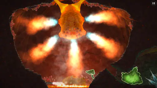 Mushroom 11 6
